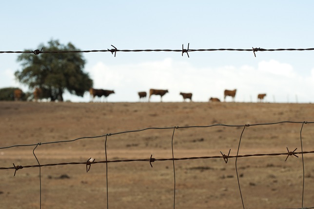 Fauna silvestre y enfermedades compartidas. Una puesta al día