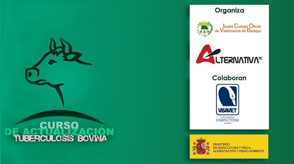 actualizacionBAD
