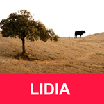 LIDIA