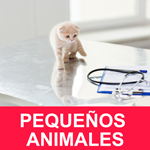 PEQUEÑOS ANIMALES